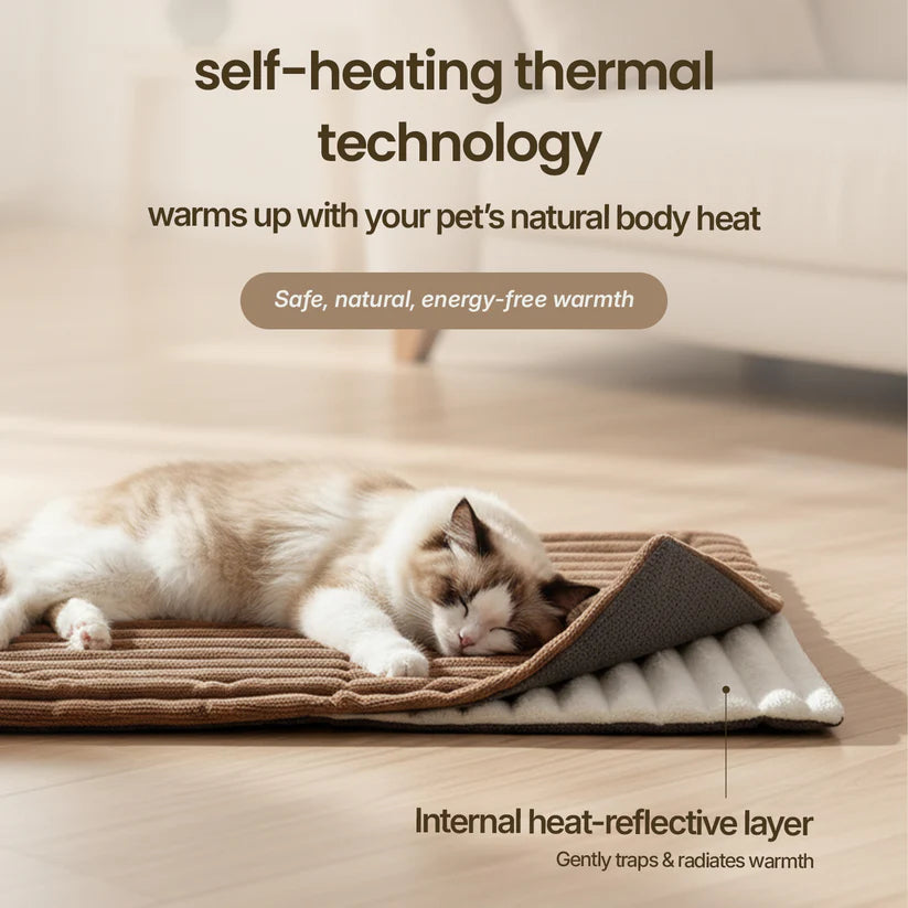 Self-heating pet mat