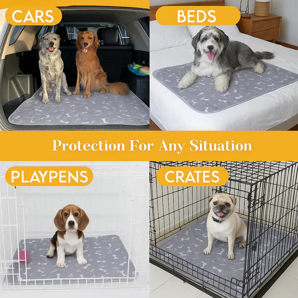 The Best Pee Pad You'll Get