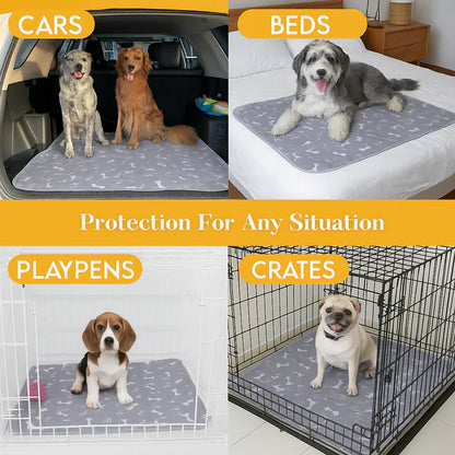 The Best Pee Pad You'll Get