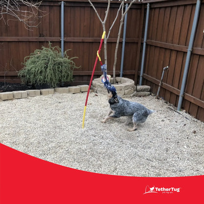 Durable Dog Tug Toy Kit for All Sizes – Solo Play & Heavy Duty Options - Paw Fit Gears