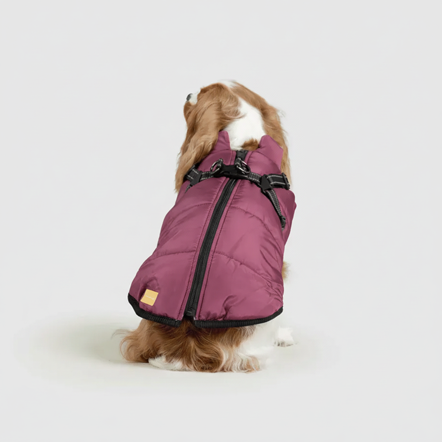 3 in 1 Winter Jacket