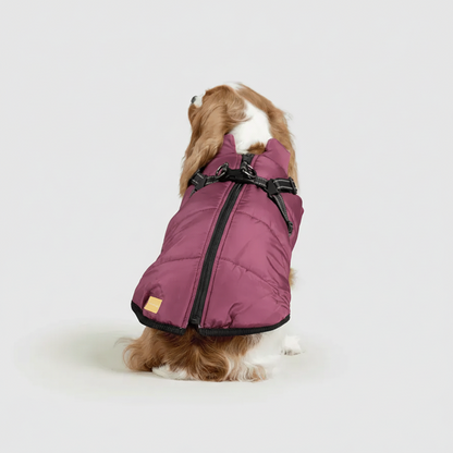 3 in 1 Winter Jacket