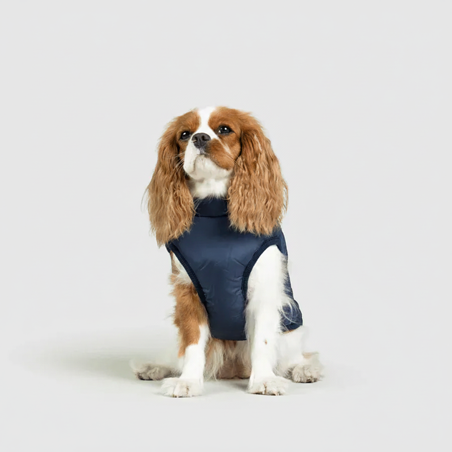 3 in 1 Winter Jacket