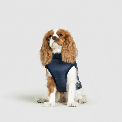 3 in 1 Winter Jacket