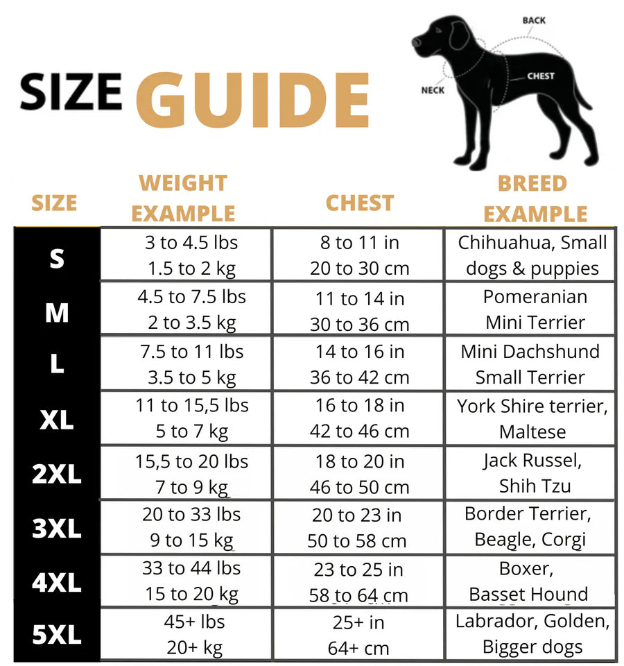 3 in 1 Winter Jacket